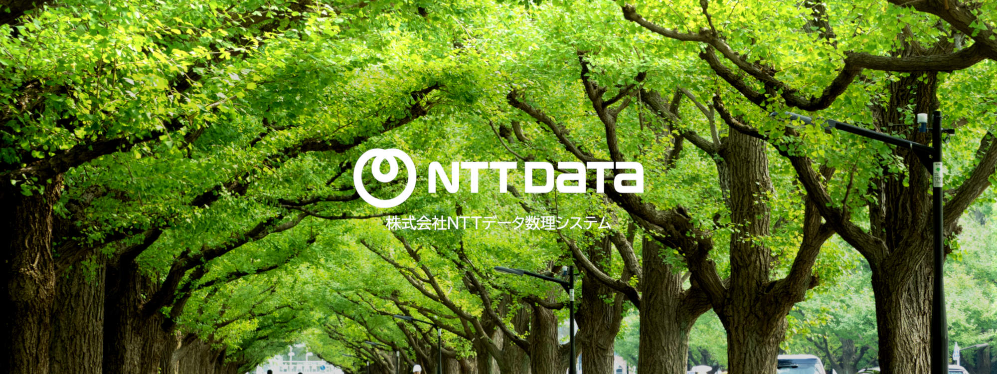 top_summer_2000_750_202602newlogo