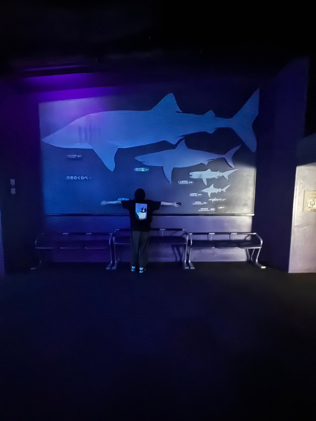 休日の過ごし方