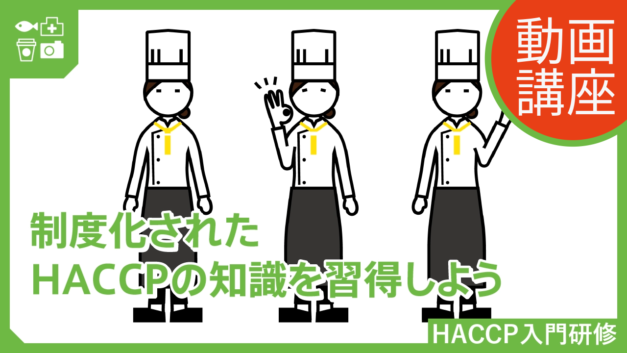 HACCP入門研修 動画講座