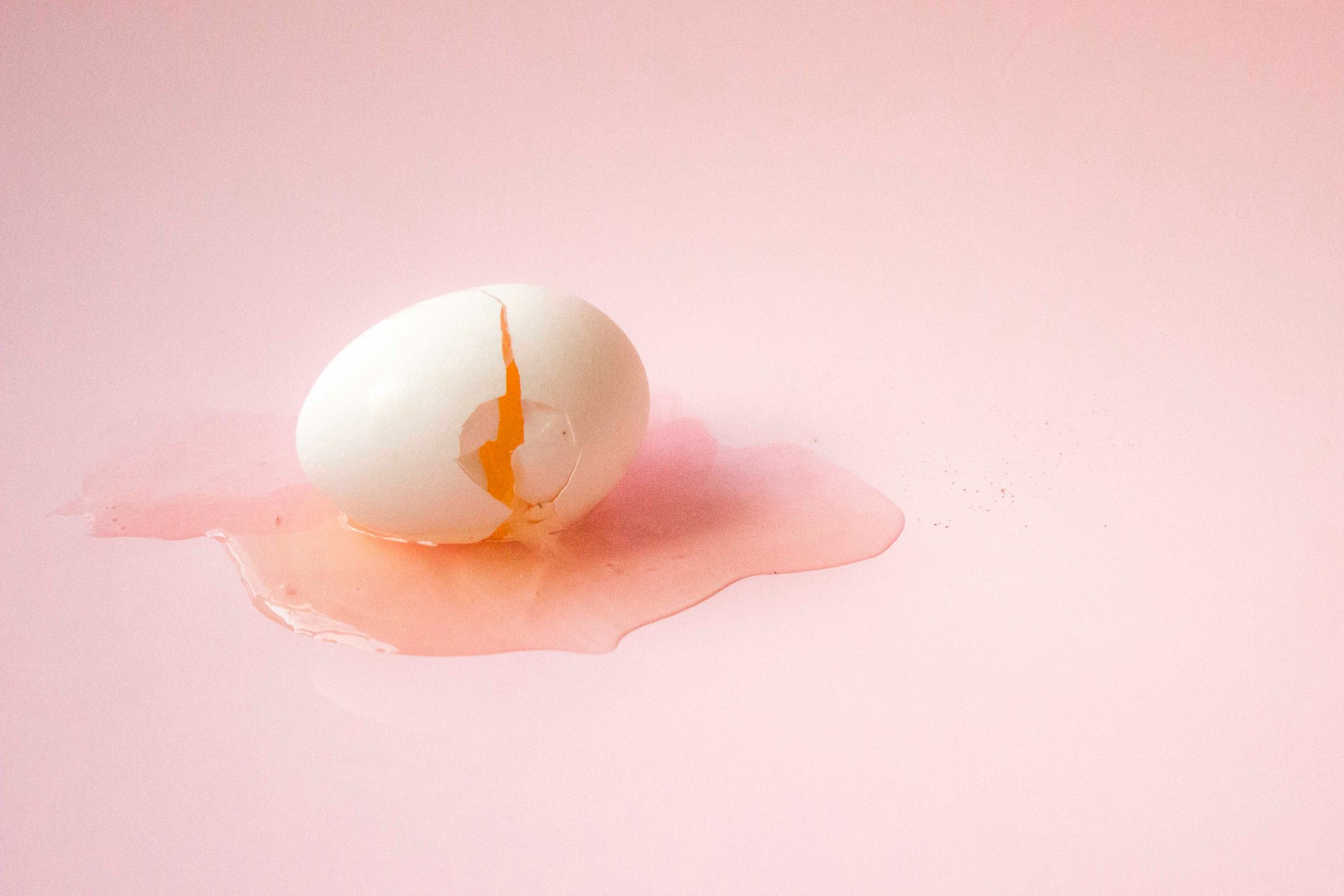 egg