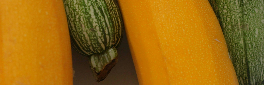 03 3