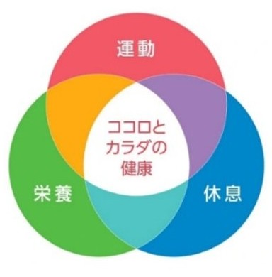 1 下部