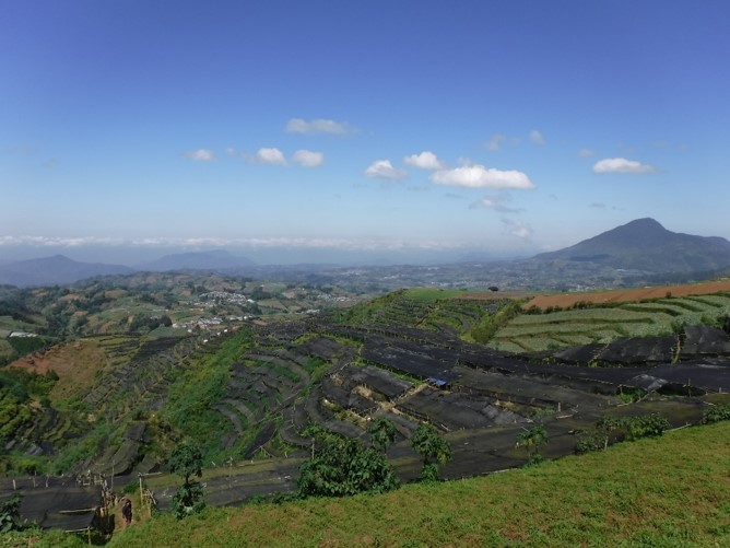 vc_image05