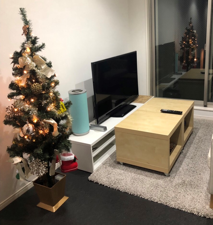 寮の共有スペースにもクリスマスツリーが飾られました