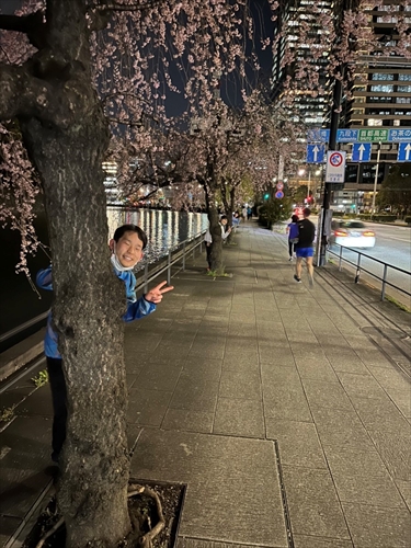 手前、真ん中、奥の桜で、同じポーズをしています