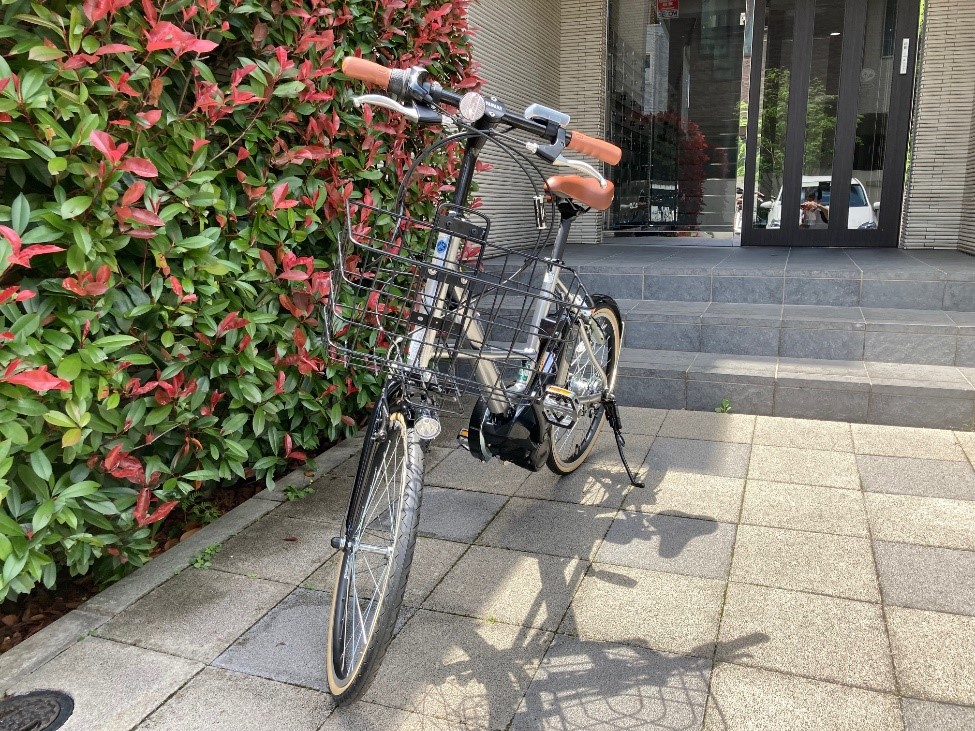 1号の凛々しい姿🚲