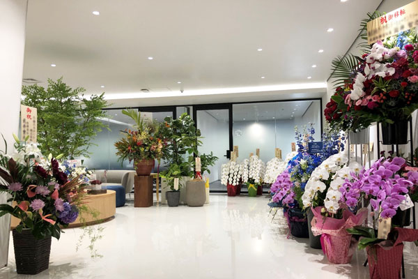 エントランスは、いま、お祝いでいただいたお花のいい香り(本当にありがとうございます…!頑張らなくては)