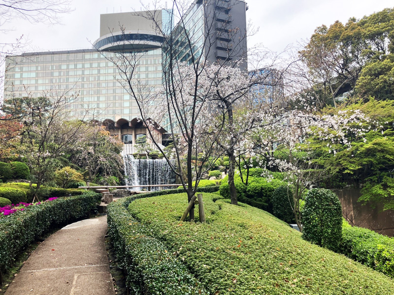 花曇り+写真がいまいちなのですが、実際は滝の音もして、もっとずっとイイ感じでした🌸