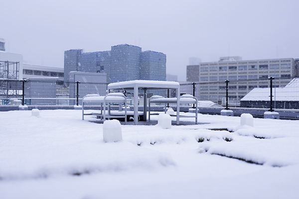 hitokoto_20260203_05_02