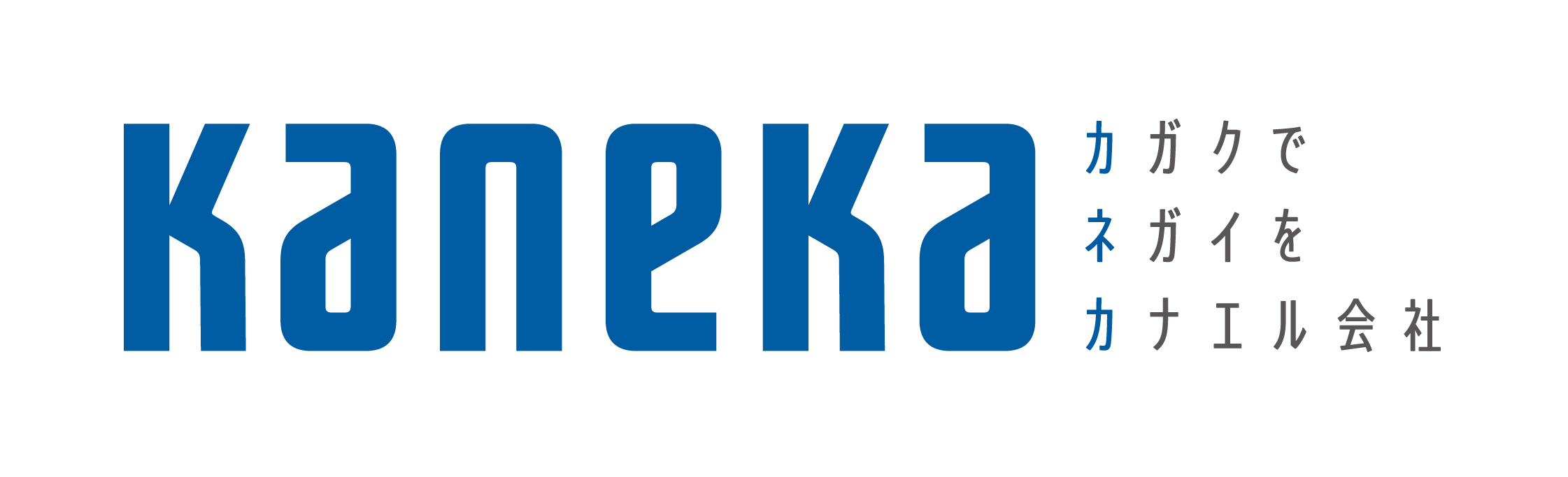 11_standard with kaneka left