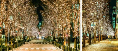 開催 20 年目となる冬の風物詩 今年は TOKYO TORCH Park にも拡大 「丸の内イルミネーション 2021」開催