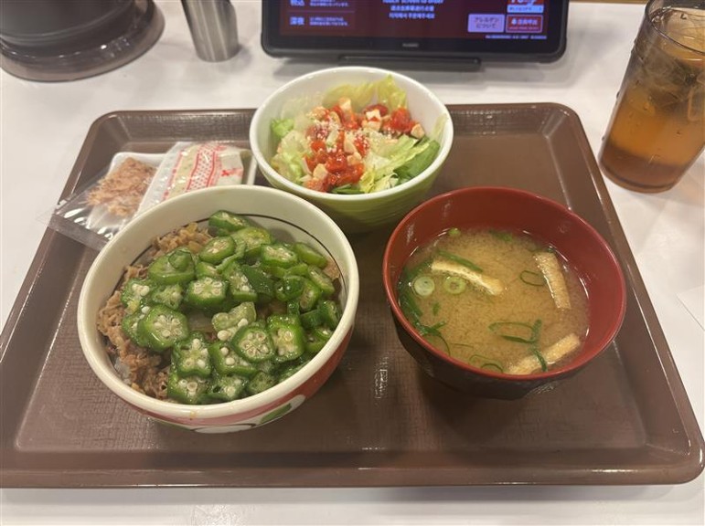 趣味の牛丼屋通い