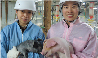 日本クリーンファーム株式会社