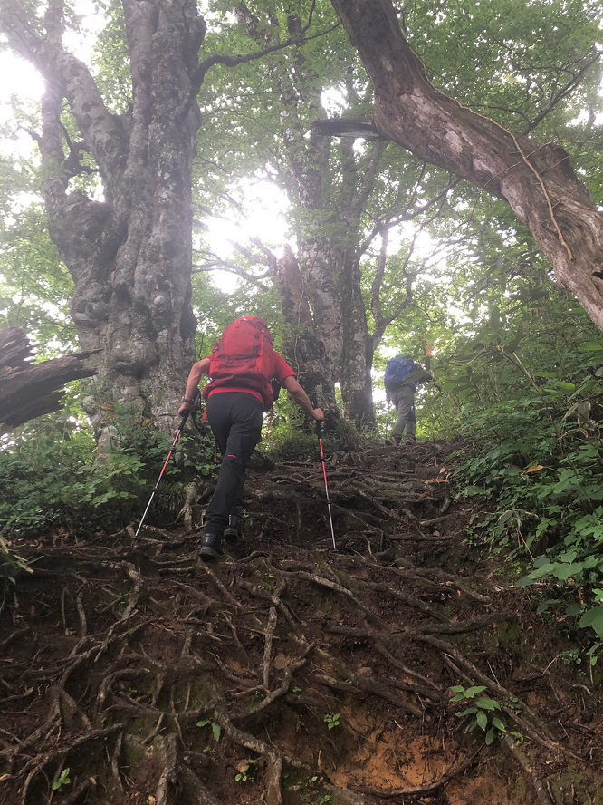 社員紹介‗久野