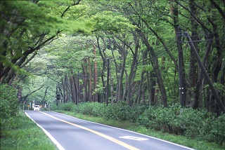 那須塩原エリア 那須高原は、豊かな自然の風景と温泉などの癒しの場として人気です。多くの宿泊施設や別荘地、殺生石などの史跡やテーマパーク、さらに皇室の御用邸があることから「ロイヤルリゾート那須」として知られています。