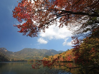 滝や湖、湿原など自然の光景が凝縮しているほか、温泉も多々あり心と体がリフレッシュできます。世界遺産の「日光の社寺」はパワースポットとしても有名です