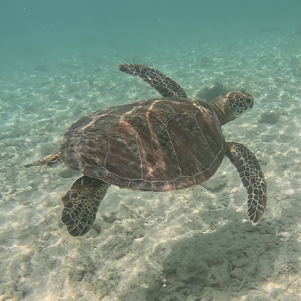 59f54034 ddf0 4cc4 bd89 51d260e0dc00