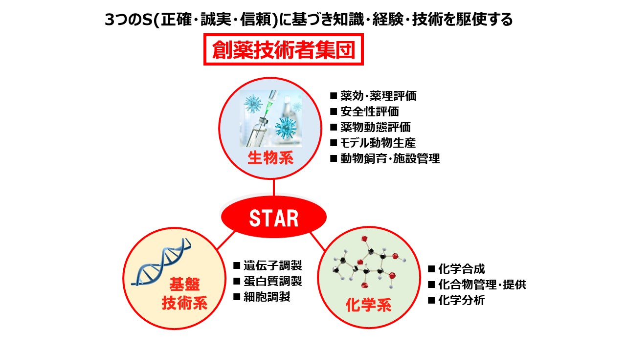 STA画像2