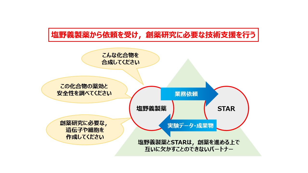 STAR画像３ 1