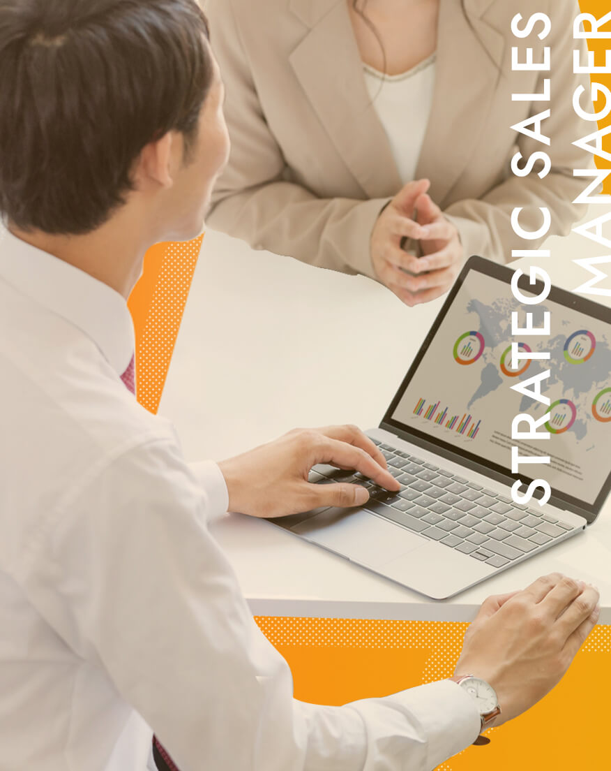 STRATEGIC SALES MANAGER