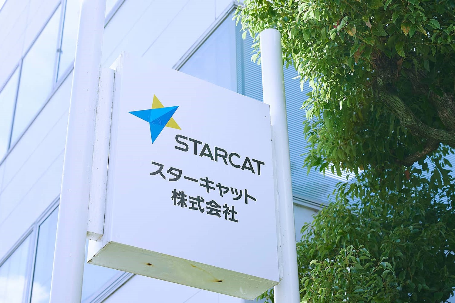職種別インタビュー
2021年度入社社員「仕事の成果を実感できる」「情報社会を支え、『つなげる』こと」