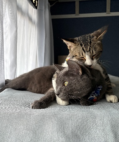 SEJ品質管理_写真⑦