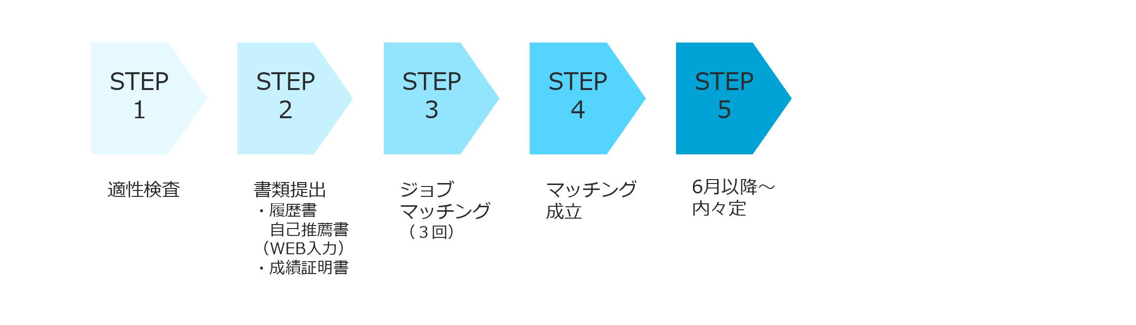 選考ステップ