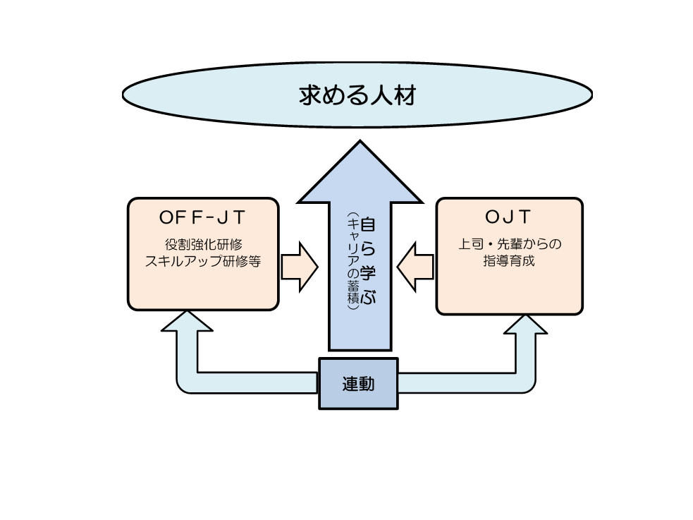 キャリア形成を支える当社の教育体系のイメージは上図のとおりです。
求める人材を目指し、全社員が「自ら学ぶ」という姿勢を前提とし、それを、各役割に応じたOFF-JT(研修)とOJT(職場での指導育成)の両輪で支えていくことを基本的な考え方としています。
さらに、研修で身につけた知識・スキルを職場で実践し、それをまた研修で振り返り、ブラッシュアップしてまた実践するというように、段階的に成長できる仕組みを構築しています。